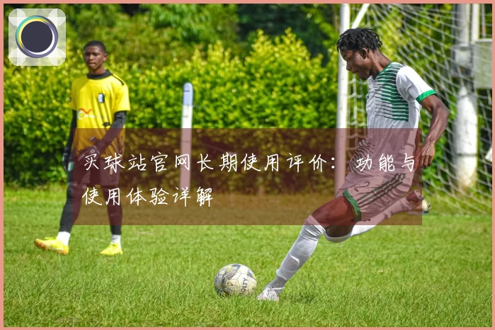 买球站官网长期使用评价：功能与使用体验详解