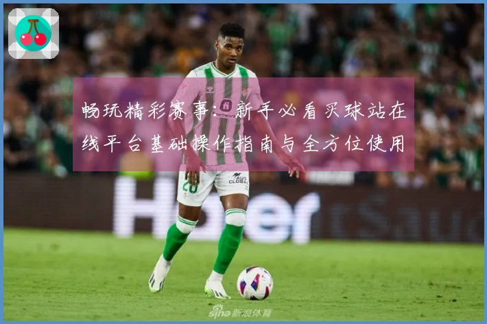 畅玩精彩赛事：新手必看买球站在线平台基础操作指南与全方位使用体验