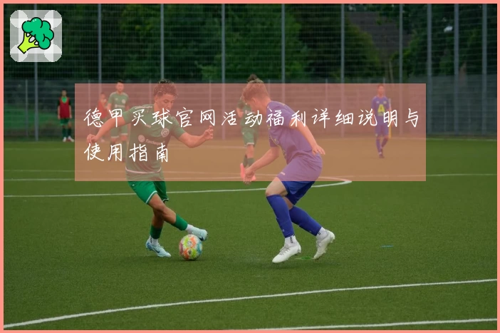 德甲买球官网活动福利详细说明与使用指南