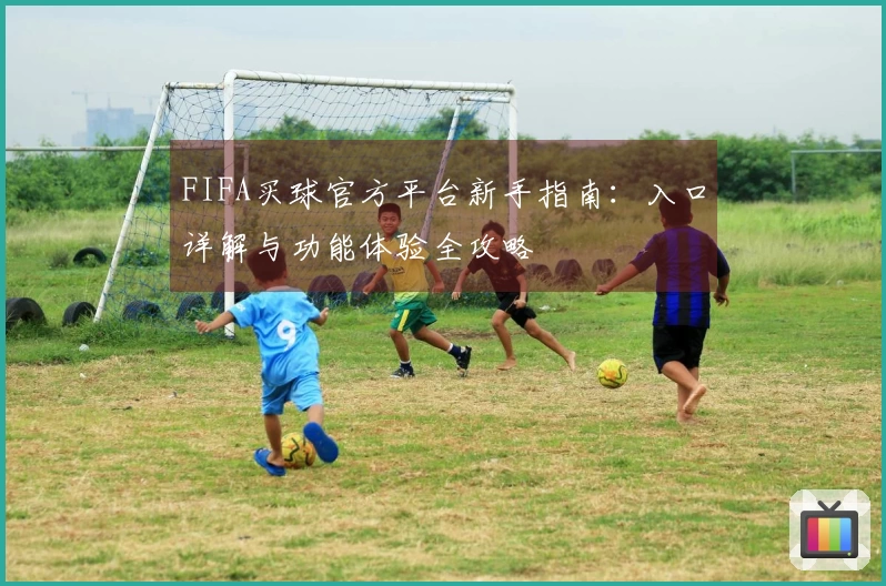 FIFA买球官方平台新手指南：入口详解与功能体验全攻略