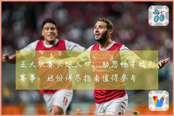 五大联赛买球入口：助您畅享精彩赛事，这份详尽指南值得参考