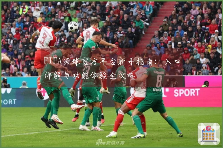 FIFA买球官方平台新手指南：入口详解与功能体验全攻略