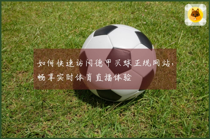 如何快速访问德甲买球正规网站，畅享实时体育直播体验